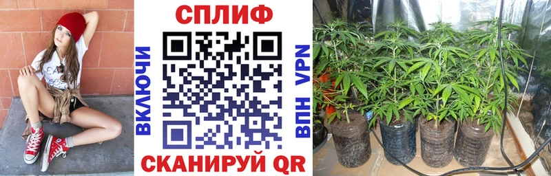 Где купить Кореновск Канабис  А ПВП  Амфетамин  МЕФ  ГАШИШ 