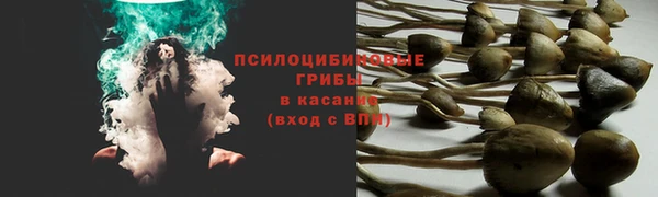 каннабис Алексеевка