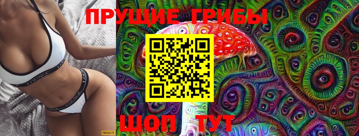 Псилоцибиновые грибы Magic Shrooms  цена   Кореновск  Вход с VPN 