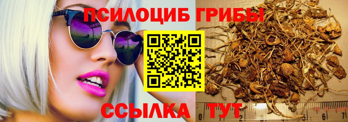 Псилоцибиновые грибы ЛСД Кореновск